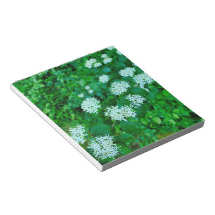 Cornus sanguinea notizblock