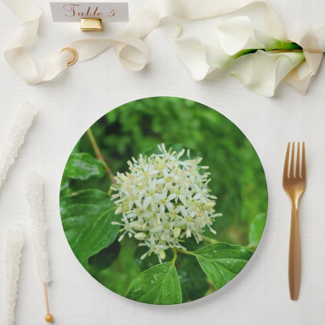 Cornus sanguinea Papierplatte Pappteller (Hochzeit)
