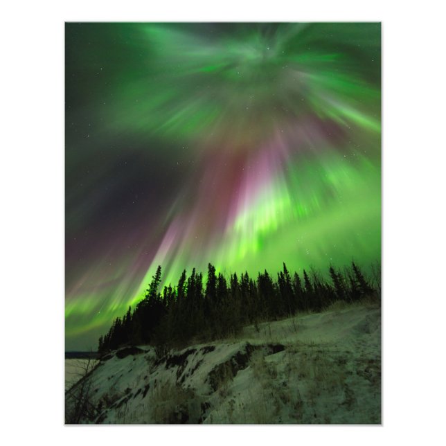 Corona Aurora Fotodruck (Vorne)