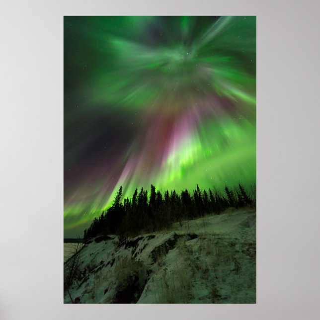 Corona Aurora Poster (Vorne)