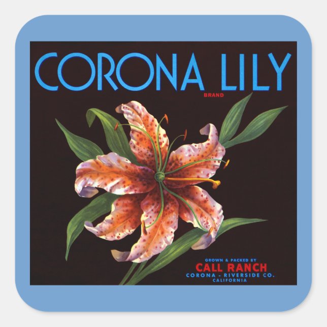 Corona Lily Quadratischer Aufkleber (Vorderseite)