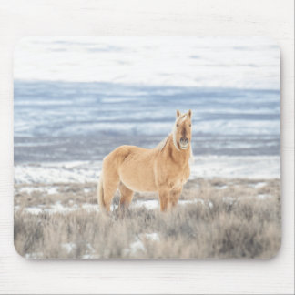 Corona-Maus Mousepad