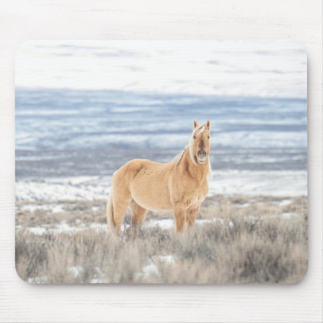 Corona-Maus Mousepad (Vorne)