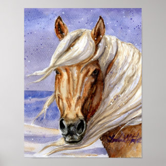 Corona von Sand Wash Becken HMA Colorado Poster