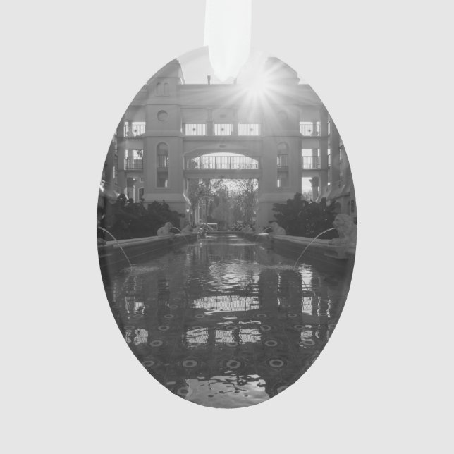 Coronado Sunburst Grayscale Ornament (Rückseite)