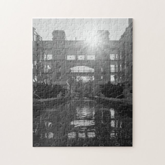 Coronado Sunburst Grayscale Puzzle (Vertikal)