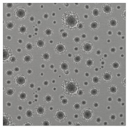 Coronavirus - Grau Stoff