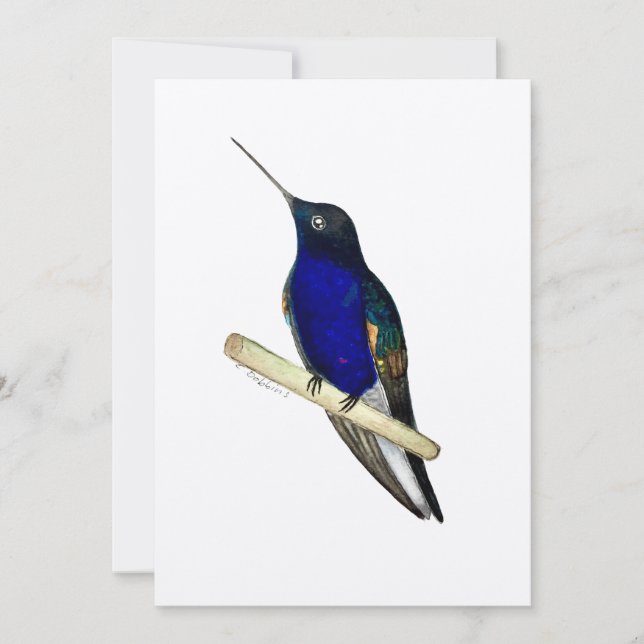 Coronet Hummingbird Card Dankeskarte (Vorderseite)