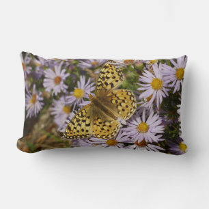 Coronis Fritillary auf Aster-Blumen im Grand Teton Lendenkissen