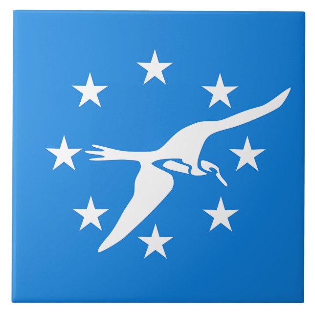 Corpus Christi City Flag Tile Fliese (Vorderseite)