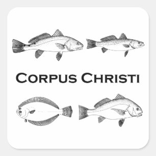Corpus Christi-Fischerei - Salzwasserfische Quadratischer Aufkleber