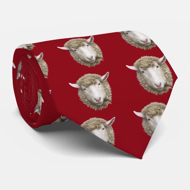 Corriedale sheep krawatte (Gerollt)
