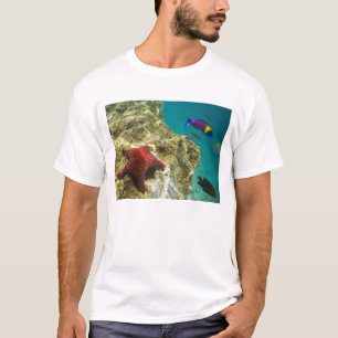 Cortez Rainbow Wrasse, männlich und weiblich, Meer T-Shirt