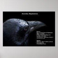 Corvidae Symbolismus Poster