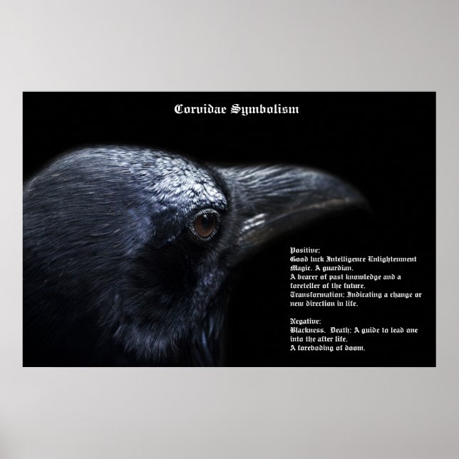 Corvidae Symbolismus Poster (Vorne)
