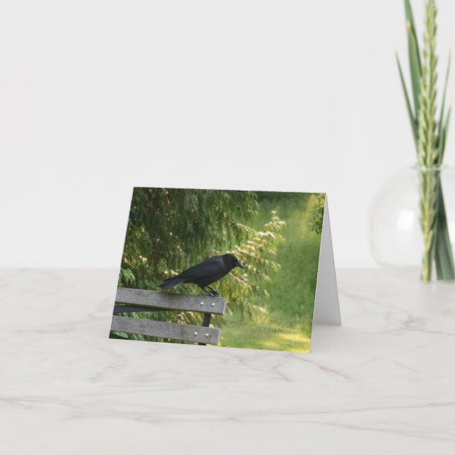Corvus brachyrhynchos, American Crow Karte (Vorderseite)
