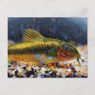 Corydoras Grünlaser-Wels Fisch Postkarte