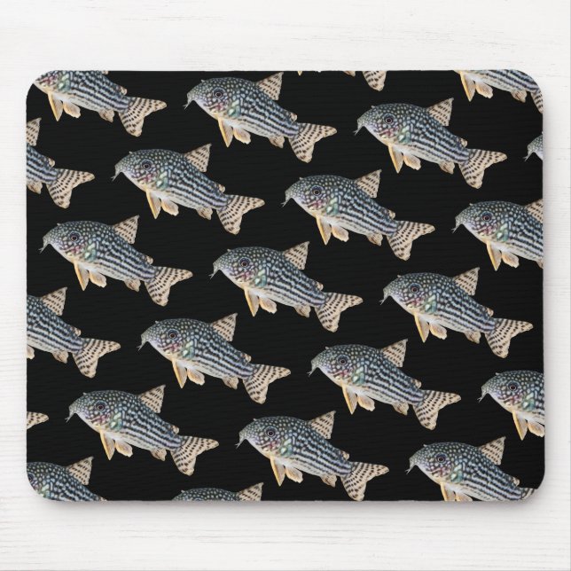 Corydoras sterbai , No.04 Mousepad (Vorne)
