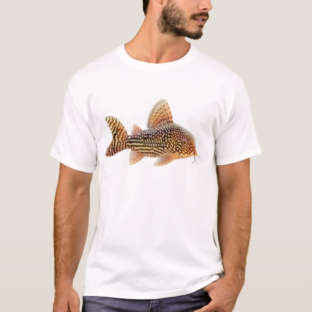 Corydoras Sterbai Wels-T - Shirt (Vorderseite)
