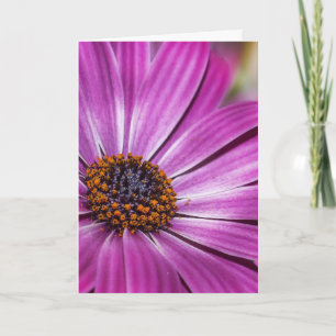 COSMEA LILA BLUME SYMPATHIE-KARTE KARTE