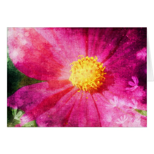 Cosmo-Blume (Vorderseite (Horizontal))