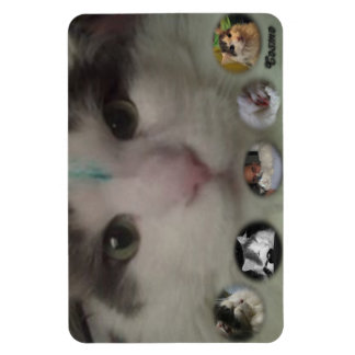 Cosmo Collage Foto Magnet