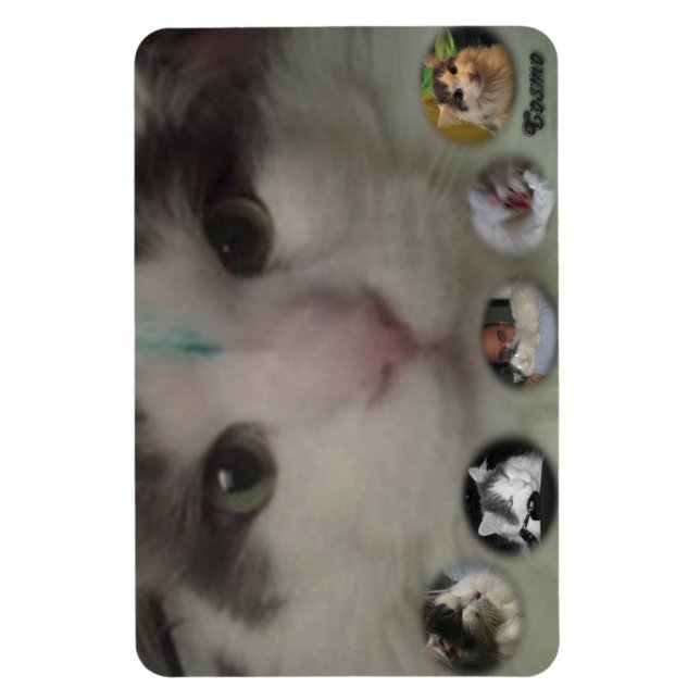 Cosmo Collage Foto Magnet (Vertikal)