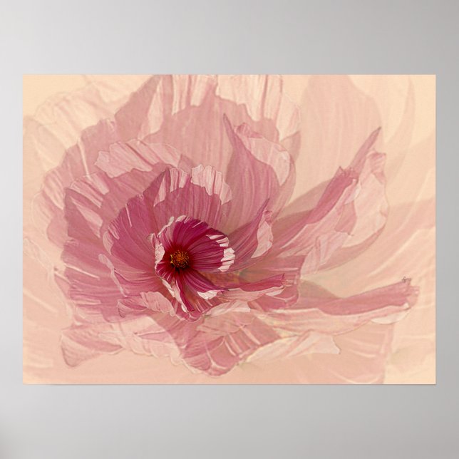 Cosmo Poster (Vorne)