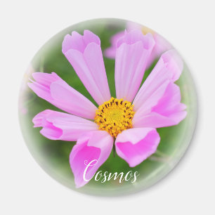 Cosmos グ ネ magnet