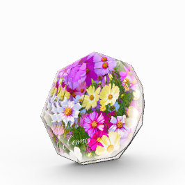 Cosmos フォトブロック fotoblock