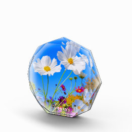 Cosmos フォトブロック fotoblock