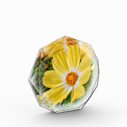 Cosmos フォトブロック fotoblock