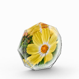 Cosmos フォトブロック fotoblock