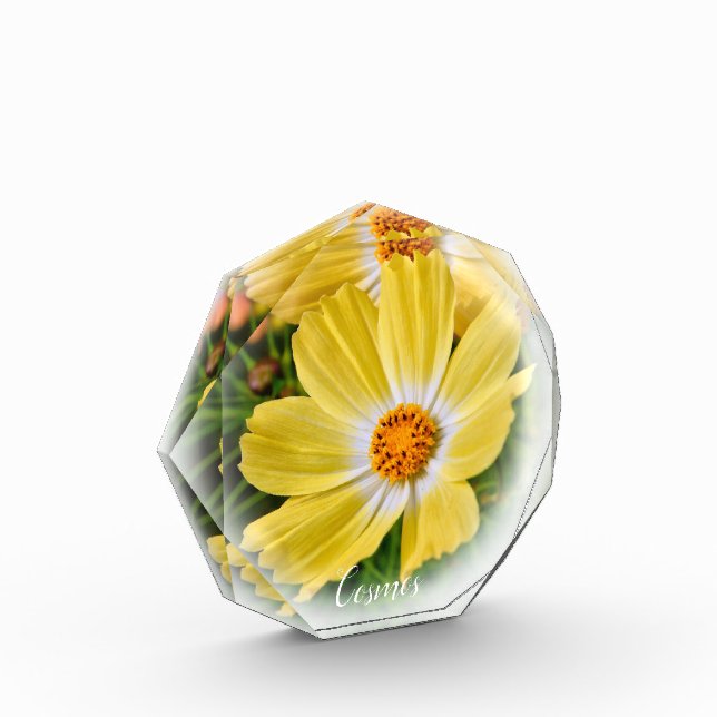 Cosmos フォトブロック fotoblock (Links)