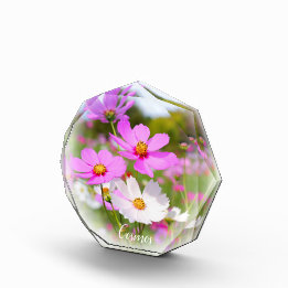 Cosmos フォトブロック fotoblock