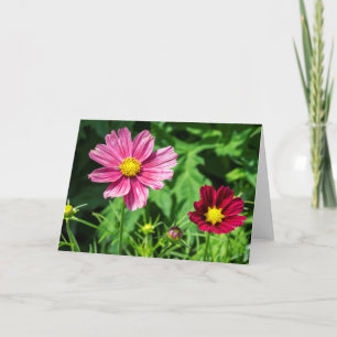 Cosmos Blank Note Card Karte