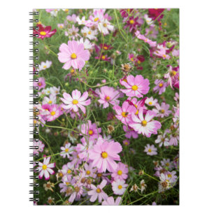 Cosmos Blume (Bidens Formosa). Kirkwood Notizblock