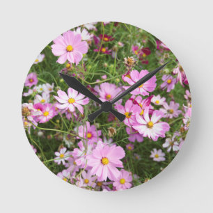 Cosmos Blume (Bidens Formosa). Kirkwood Runde Wanduhr