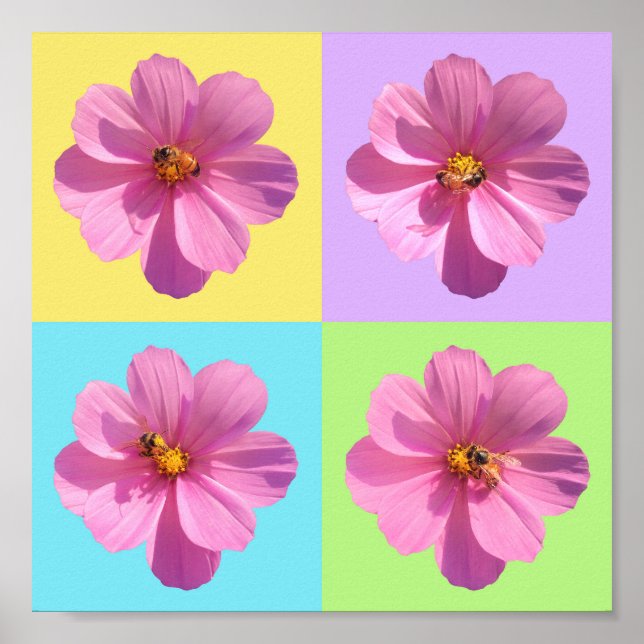 Cosmos-Blume mit Honigbiene Poster (Vorne)