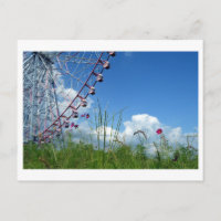 Cosmos Blume & Riesenrad: Japan