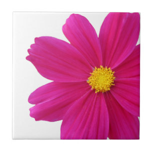 Cosmos Blume Tile Fliese