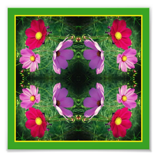 Cosmos Blume Trio Mirror Abstrakt 8x8 Fotodruck (Vorne)