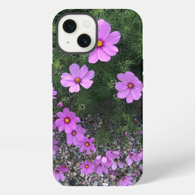 Cosmos-Blumen mit Kieselsteinen Auf einer iPhone Hülle (Rückseite)