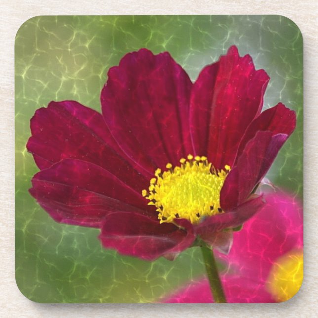 Cosmos Glory Untersetzer (Vorderseite)