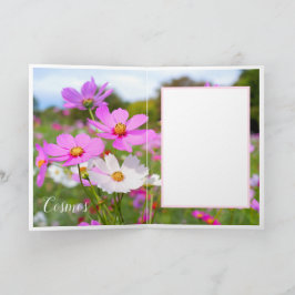 Cosmos Karte