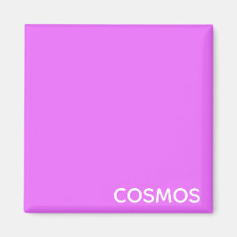 Cosmos lila Farbname Magnet