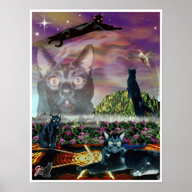 Cosmos Poster (Vorne)