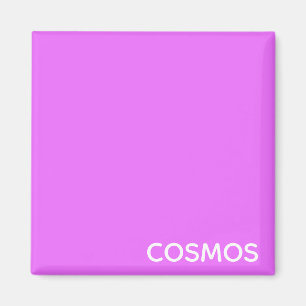Cosmos purple color name magnet