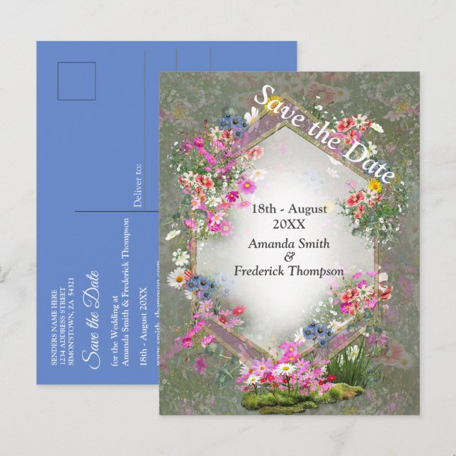 Cosmos Wilderness Wild-Blume Ankündigungspostkarte (Vorne/Hinten)