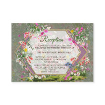 Cosmos Wilderness Wild-Blume